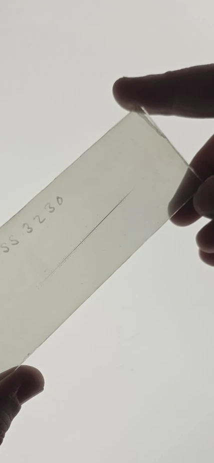 Lasby plate held over the lightbox