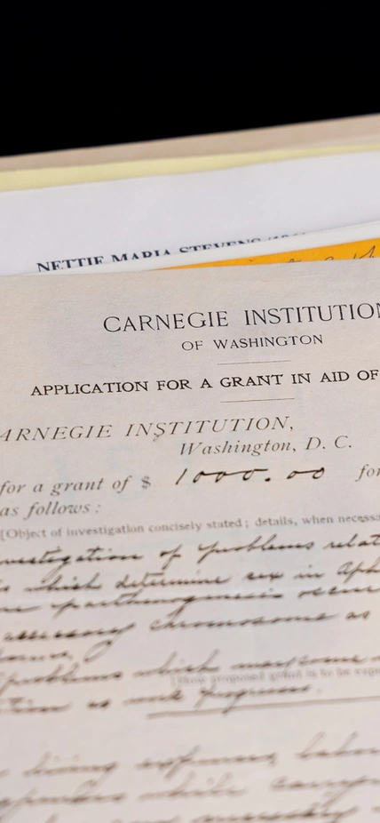 Nettie Stevens Grant in Folder