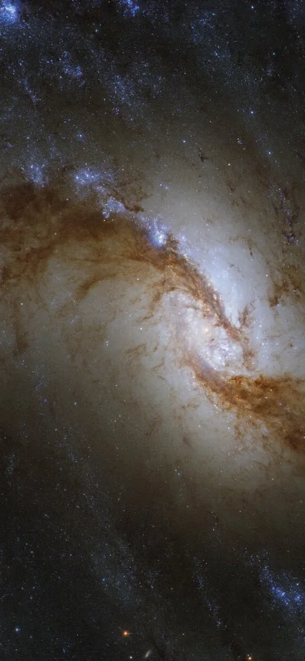 Hubble Space Telescope image of NGC 1365, or the Great Barred Spiral Galaxy. Credit: Credit: ESA/Hubble & NASA, J. Lee and the PHANGS-HST Team.