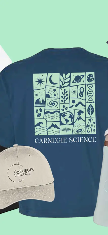 Carnegie Store Banner 