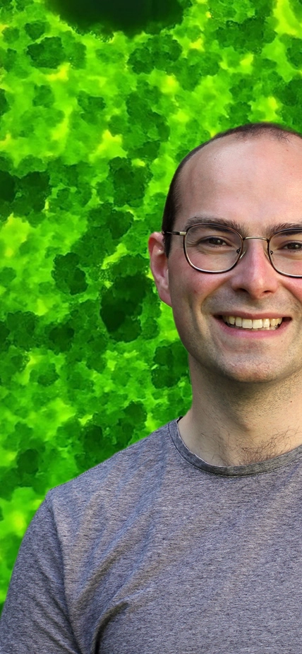 Adrien Burlacot - Algae header image