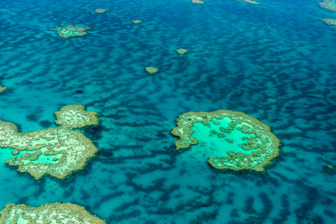 coral reef from overhead