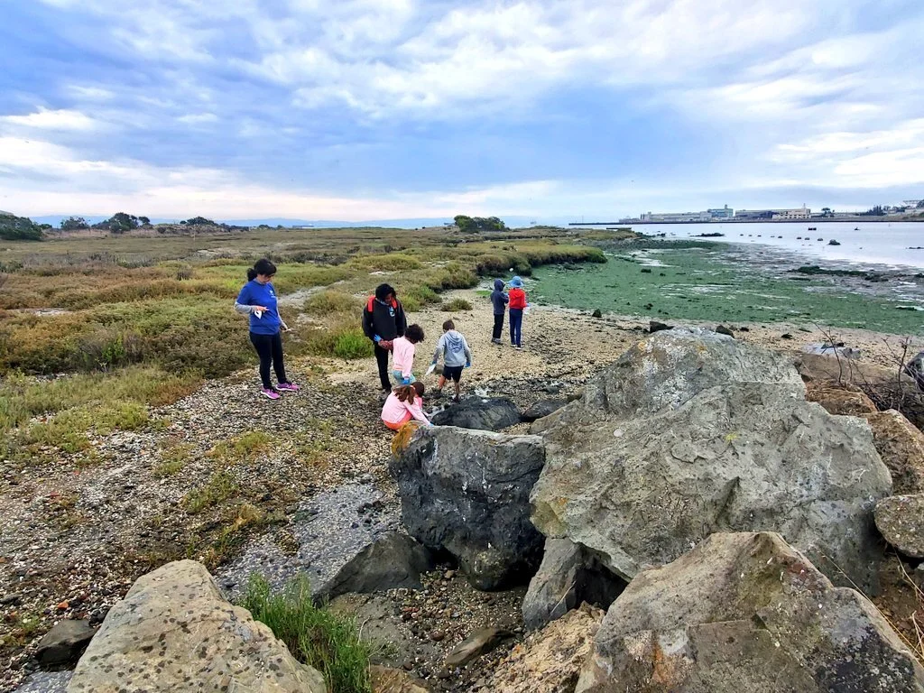 Campers hunt for tardigrades with Carnegie plant biologists