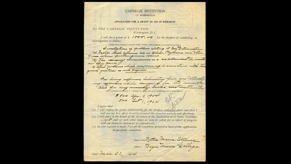 Nettie Stevens 1904 grant application for "Investigation of problems relating to Sex Determination." From the Carnegie Science Archives.