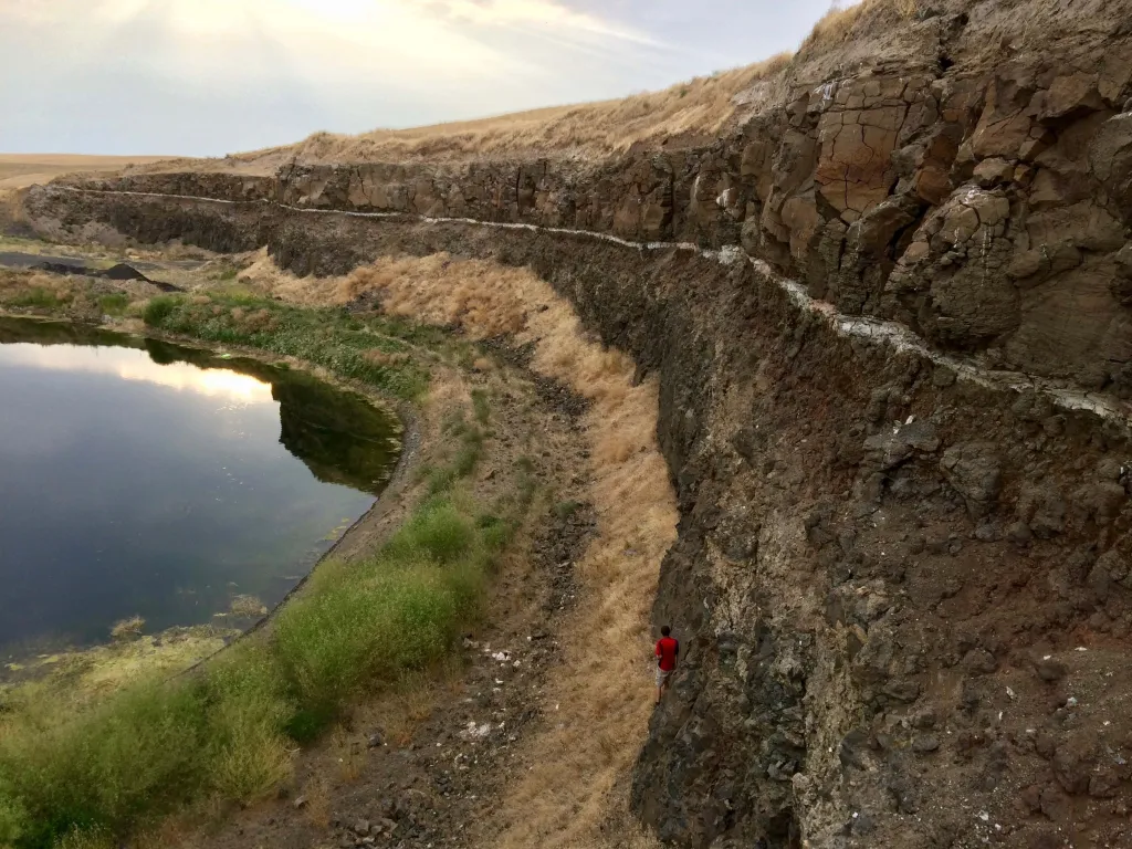 The volcanic ash found between two basalt flows yielded zircons that were dated to constrain the age of a magnetic field reversal and the second-youngest formation of the Columbia River Basalt Group. Princeton University's Josh Murray provides scale (Photo credit: Jennifer Kasbohm).