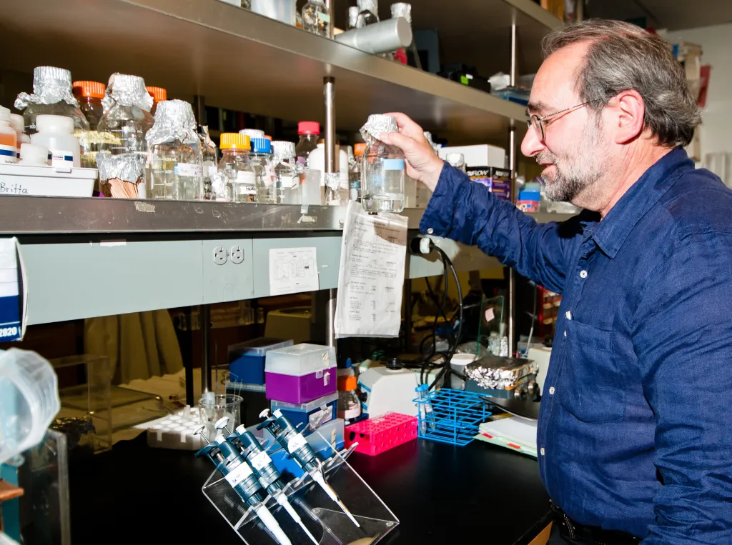 Arthur Grossman in the lab in 2014