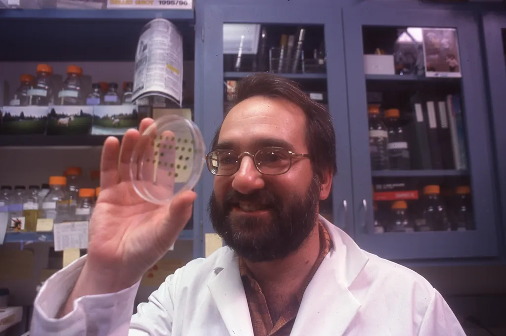Arthur Grossman with a petri dish