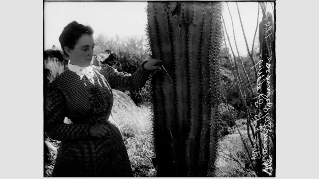 Desert Botanical Lab