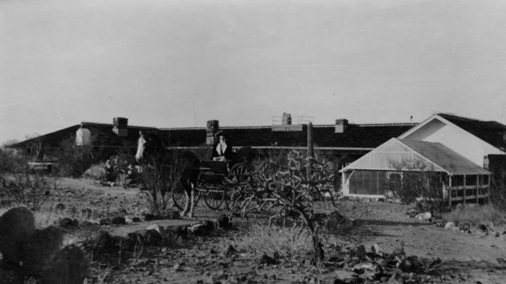 At the Desert Laboratory