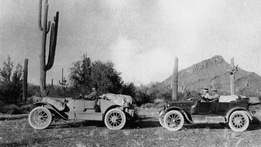 Diving through the desert