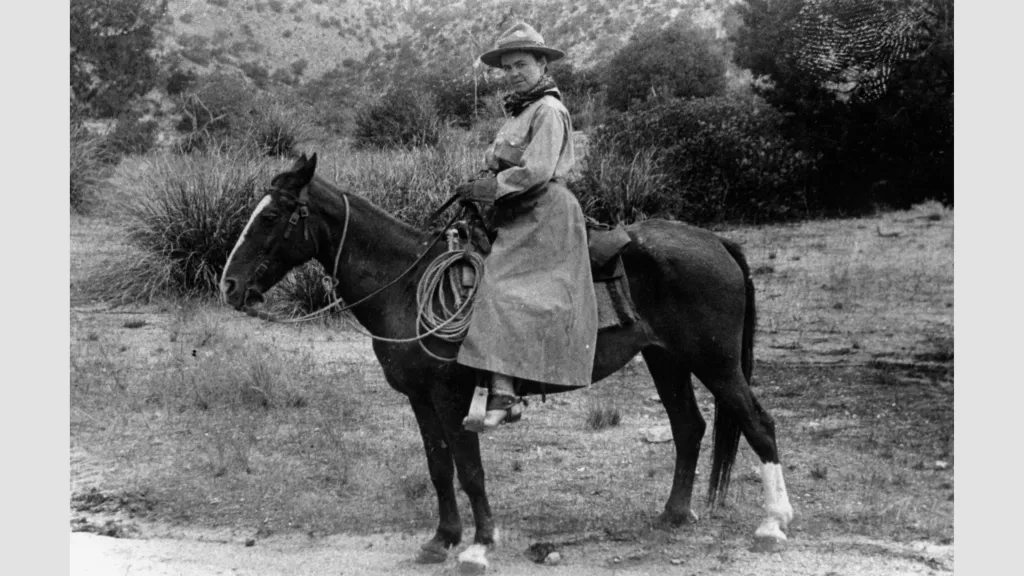 Edith Bellamy Shreve