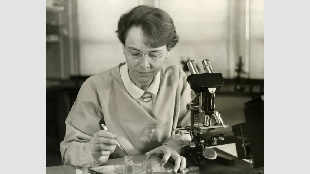 Barbara McClintock in the laboratory in 1947