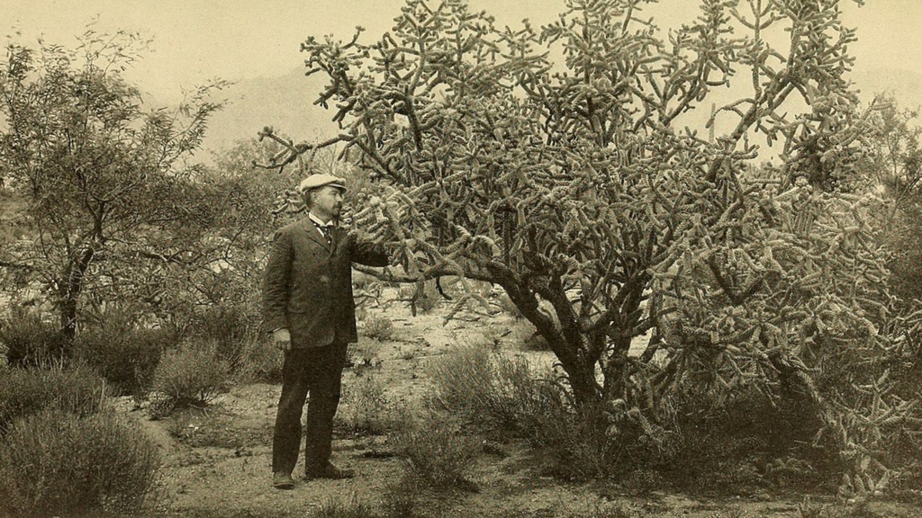Daniel T. MacDougal