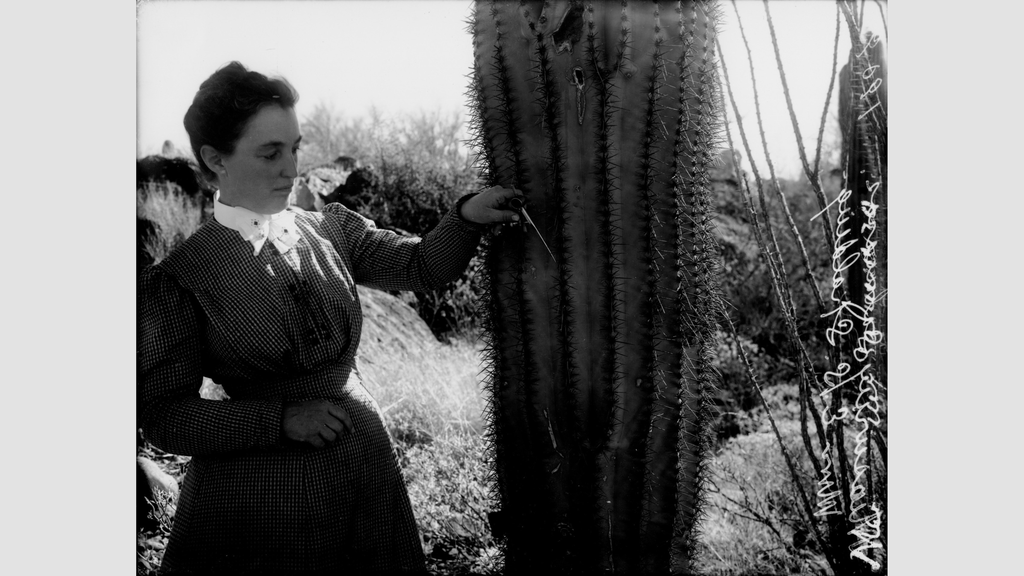 Effie Southworth Spalding