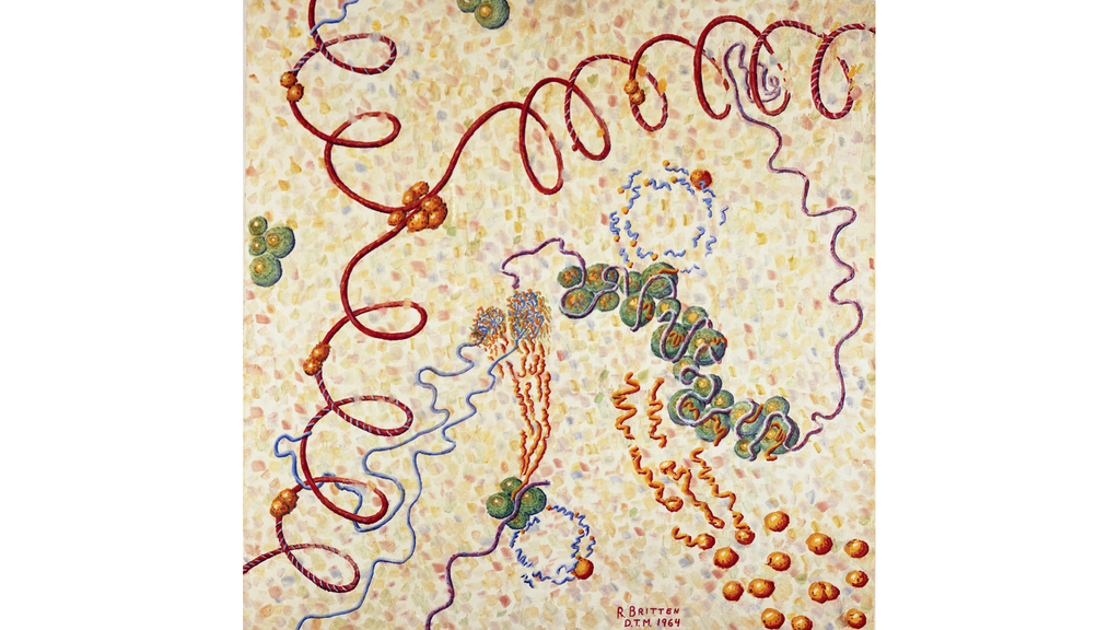 Macromolecular Metabiology