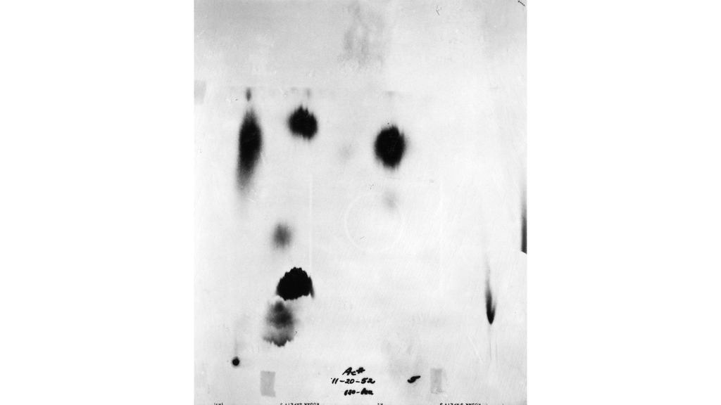Chromatogram
