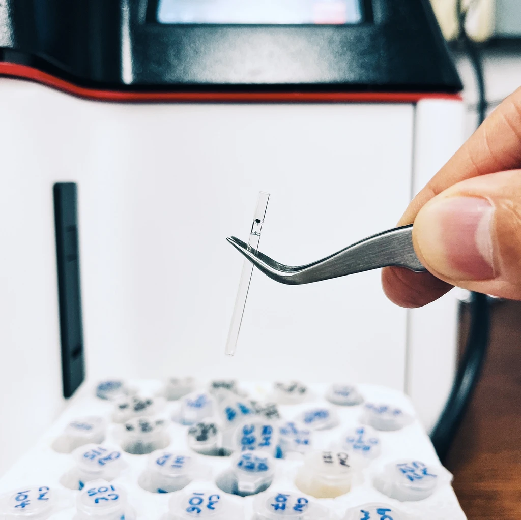 3.51-billion-year-old shale from Singhbhum Craton, India. Credit: Michael Wong.