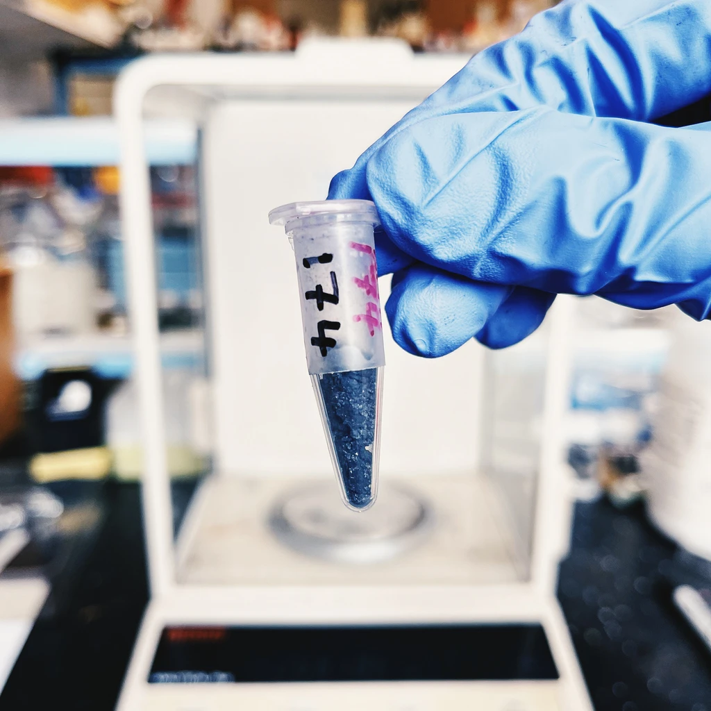 A carbon-rich sample from early Earth. Credit: Michael Wong.