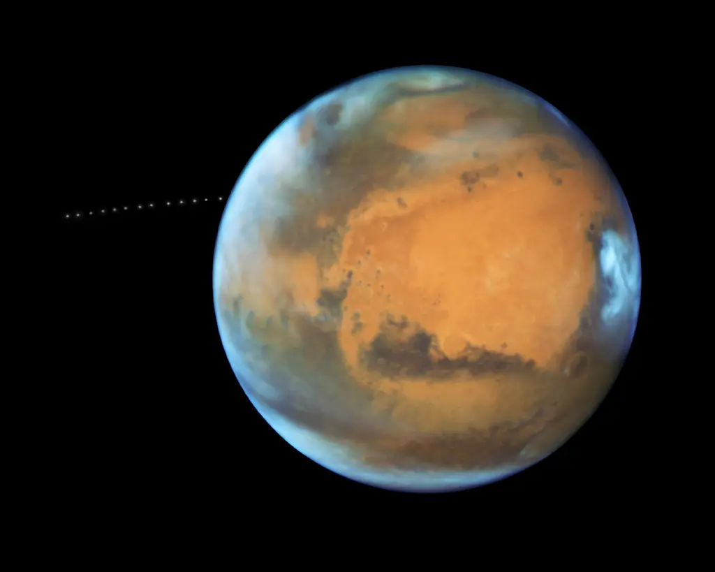 While photographing Mars, NASA’s Hubble Space Telescope captured a cameo appearance of the tiny moon Phobos on its trek around the Red Planet.