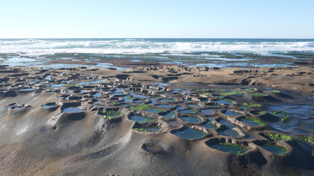 Tidepool formation in La Jolla, California