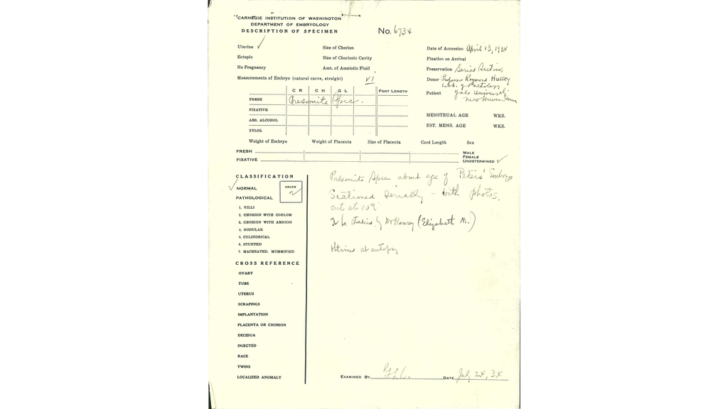 Yale embryo's Carnegie Collection form