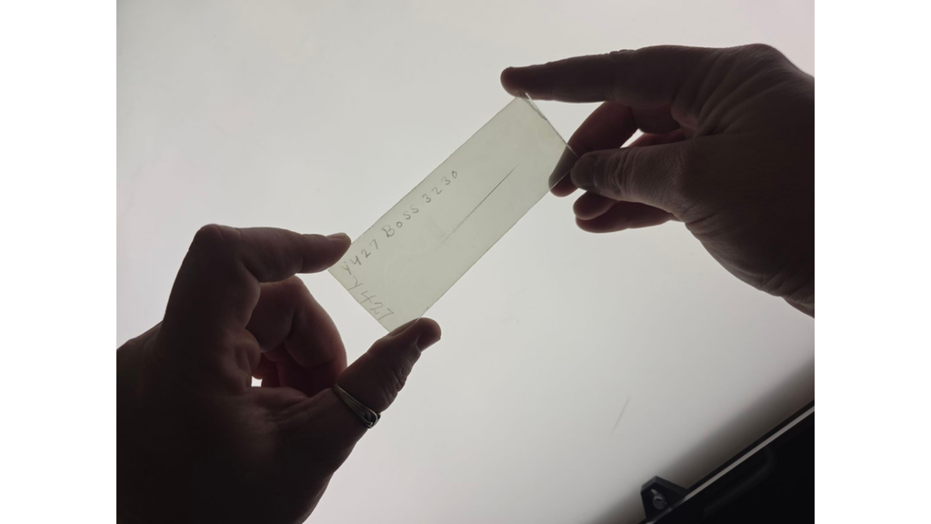 Lasby Plate over Lightbox