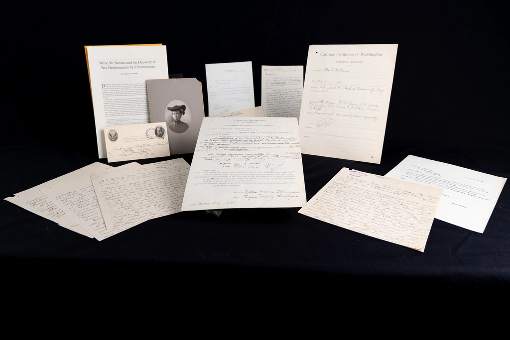 Nettie Stevens' grant and accompanying papers including recommendations, scientific report, research assistant application, application approval letter, a postcard from Bryn Mawr, and a retrospective look back on the impact of her work. 