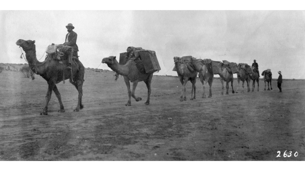 Australia Magnetic Expedition