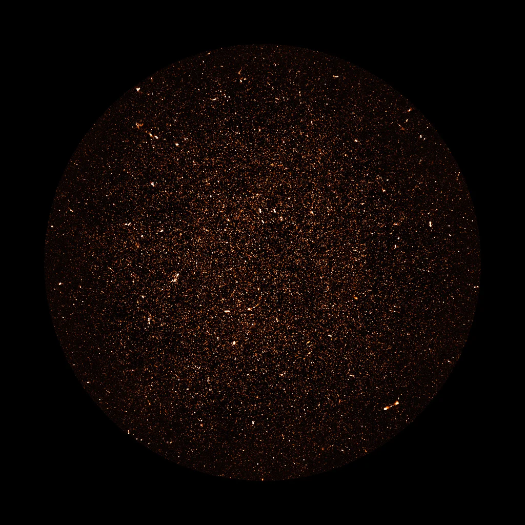 MeerKAT image of radio galaxies: Thousands of galaxies are visible in this radio image covering a square degree of sky near the south celestial pole, made by the MeerKAT radio telescope array in South Africa. 