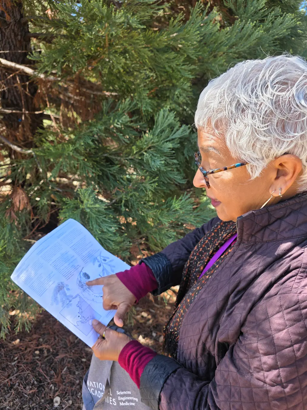 Devaki Bhaya with a redwood guide. Courtesy: Carnegie Science.