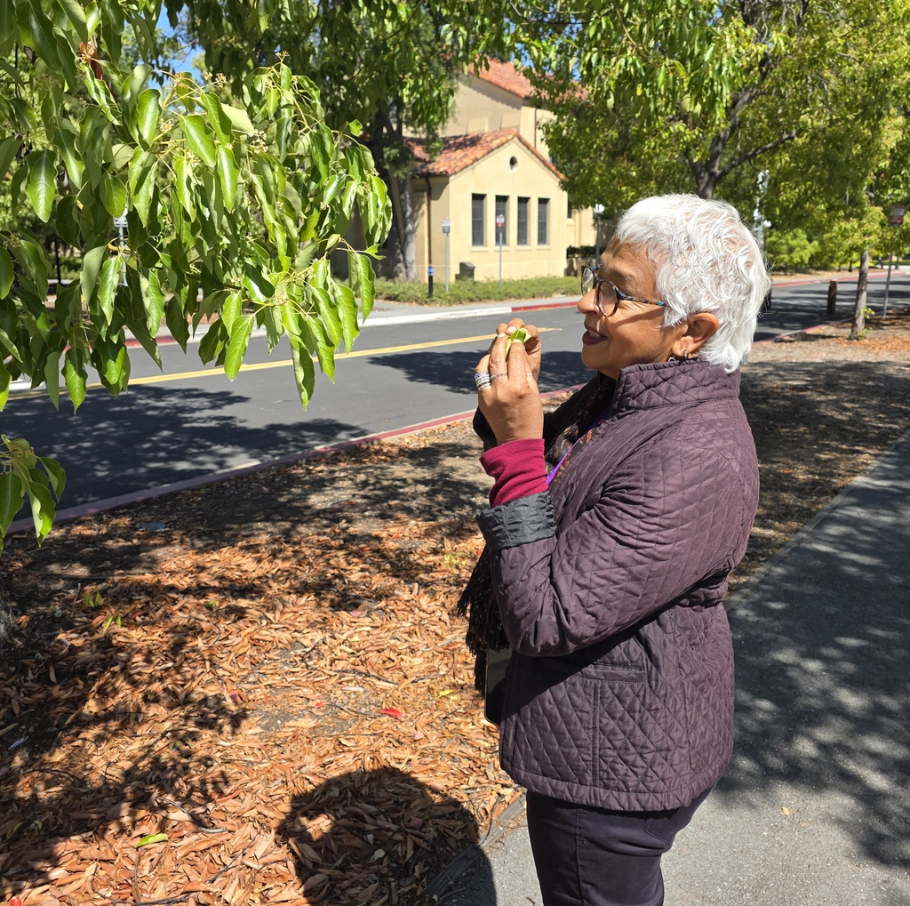 Devaki Bhaya with a camphor tree. Courtesy: Carnegie Science.