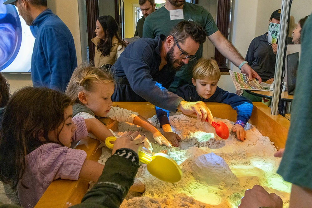 Sandbox Simulations