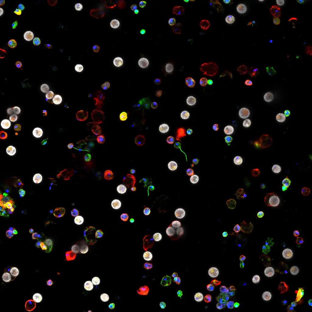 "Little Lights in the Night" 