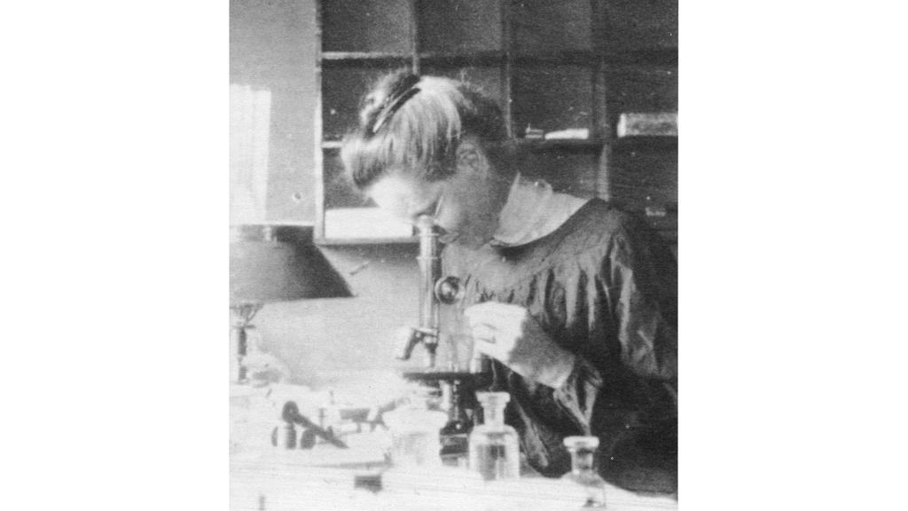 Nettie Stevens