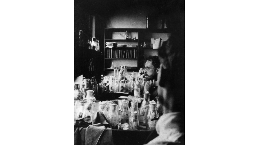 Thomas Hunt Morgan