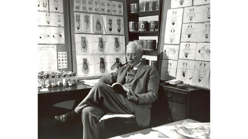 Alfred Sturtevant