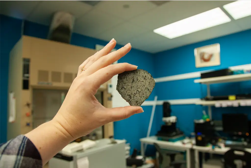 See and touch a meteorite that came from Mars. 