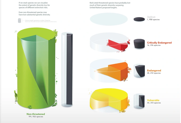 Infographic linking extinction to loss-of-habitat-related decreases in genetic diversity of Mark Belan | artscistudios.com.