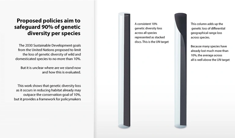 Infographic illustrating that genetic biodiversity loss already outpaces U.N. conservation targets courtesy of Mark Belan | artscistudios.com.