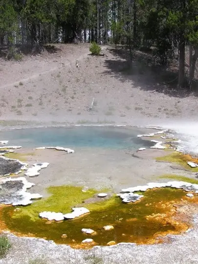 Hot spring in Yellowstone National Park