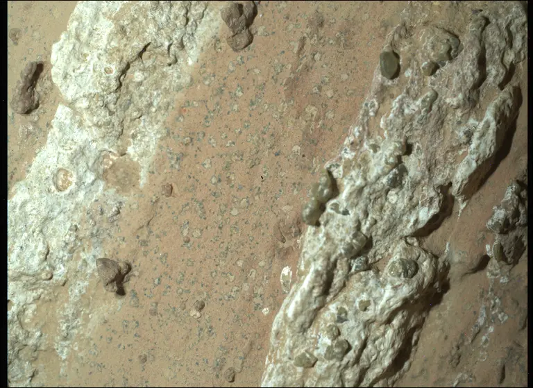 NASA’s Perseverance rover discovered “leopard spots” on a reddish rock nicknamed “Cheyava Falls” in Mars’ Jezero Crater in July 2024. Scientists think the spots may indicate that, billions of years ago, the chemical reactions in this rock could have supported microbial life; other explanations are being considered. NASA/JPL-Caltech