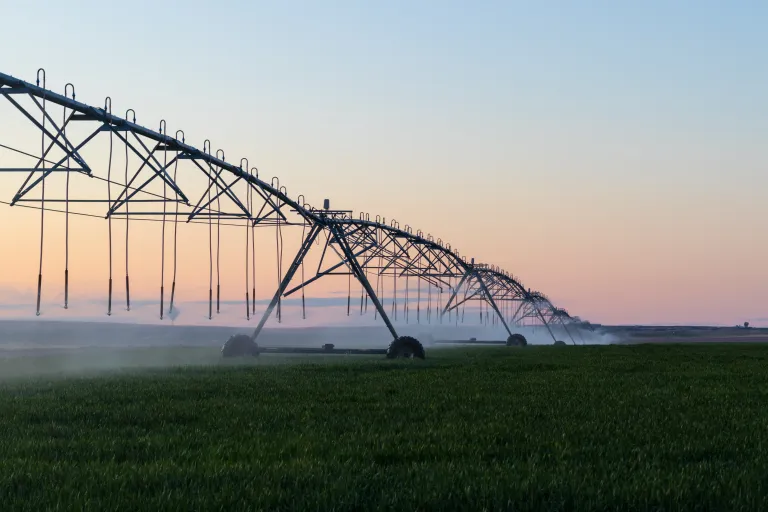 Irrigation sprinklers in an agricultural field