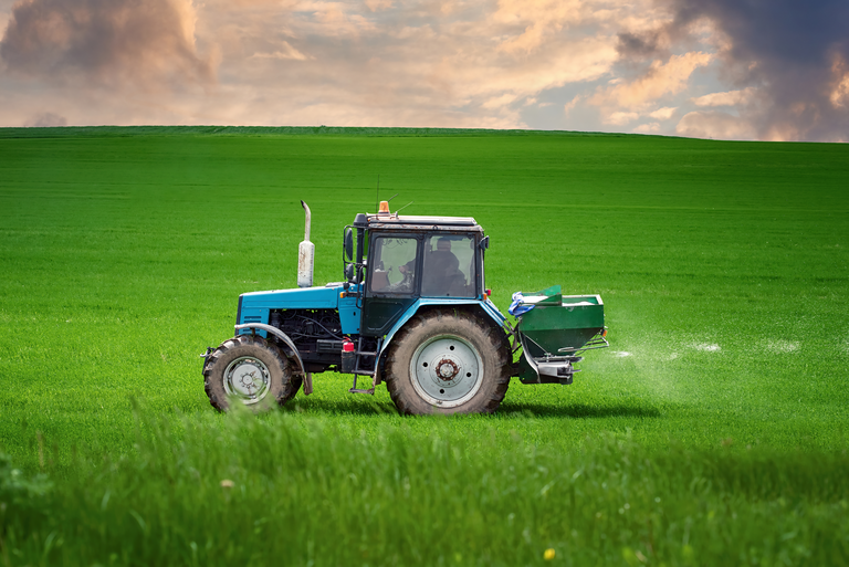 Tractor sprinkles potash on a farmer's field