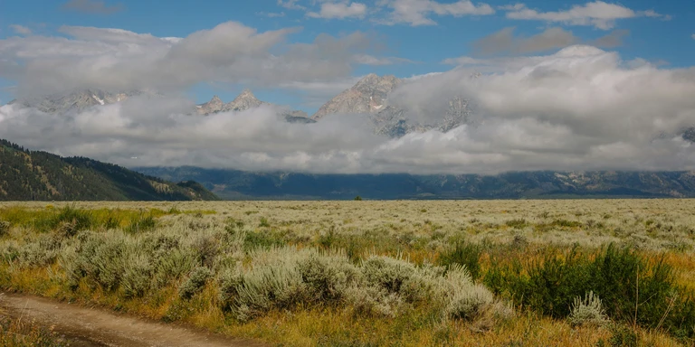 Grassland extends to a mountain range on the horizon