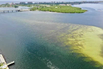 Aerial view of red tide algal bloom along Florida’s gulf coast