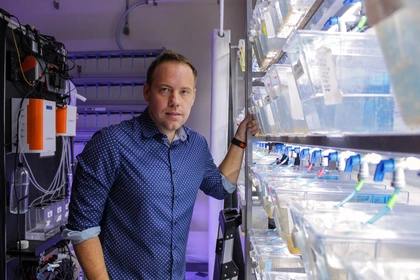 Phillip Cleves at work in Carnegie’s coral research facility in Baltimore. Carnegie researchers have been leading efforts to apply biomedical techniques to pressing environmental issues, including coral bleaching and ocean acidification. Photo by Navid Marvi courtesy of the Carnegie Institution for Science. 