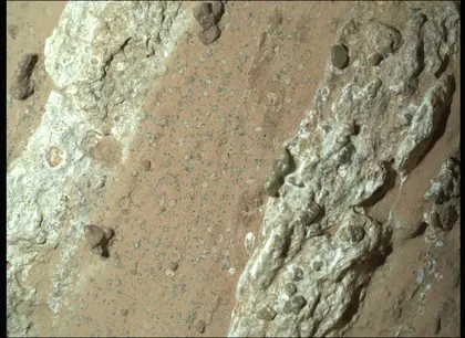  An annotated version of the image of “Cheyava Falls” indicates the markings akin to leopard spots, which have particularly captivated scientists, and the olivine in the rock. The image was captured by the WATSON instrument on NASA’s Perseverance Mars rover on July 18. Credit: 	NASA/JPL-Caltech