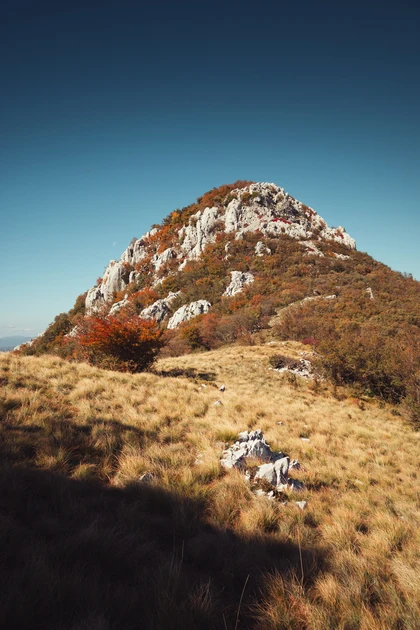Shrubland on a rocky hillside