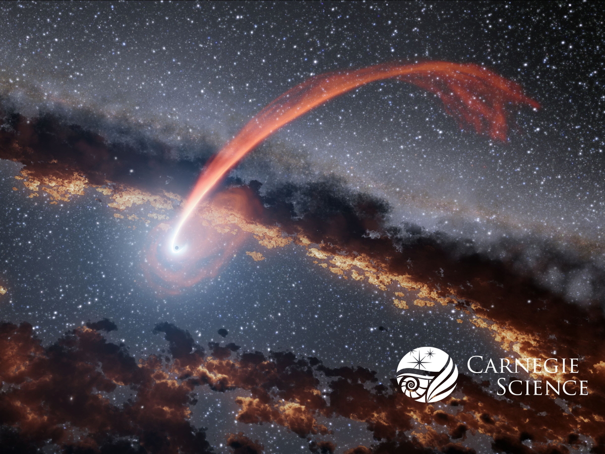 The tidal stripping of a star close to the central black hole of a galaxy (artist's rendition)