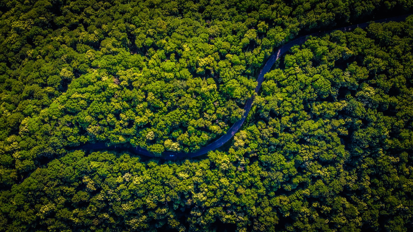 River winding through forest canopy courtesy of Unsplash